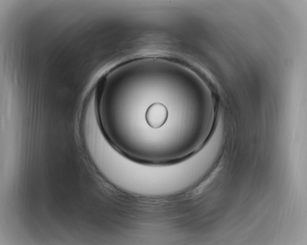 X0000115521461200911131435