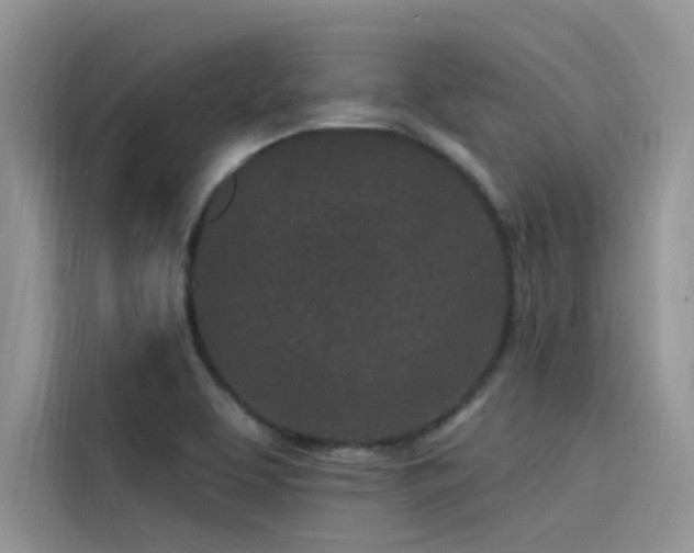 X0000115521463200911131435