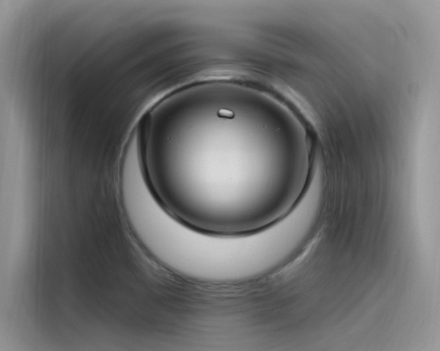 X0000115521465200911131435