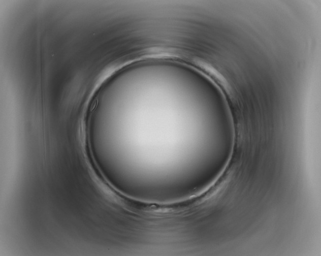 X0000115521467200911131435
