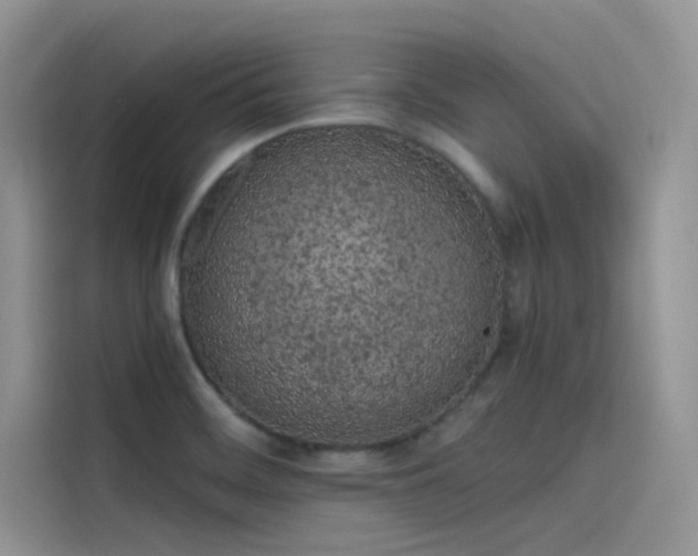 X0000115521468200911131435