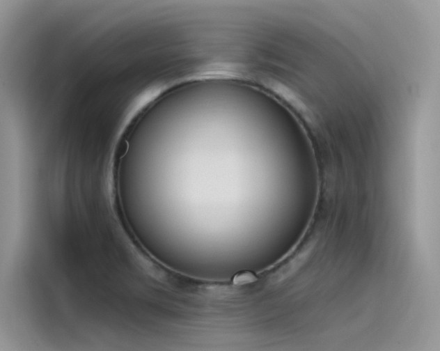 X0000115521469200911131435