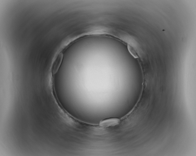 X0000115521472200911131435