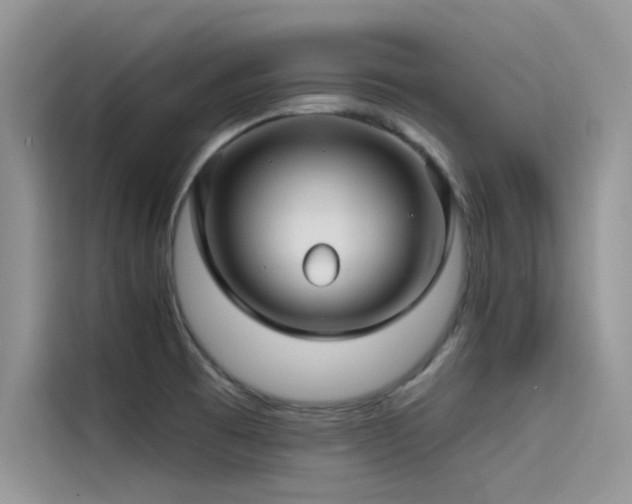 X0000115521473200911131435