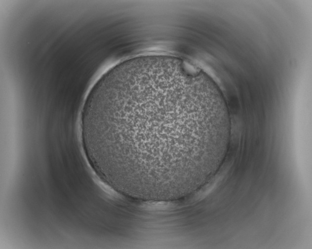X0000115521474200911131435