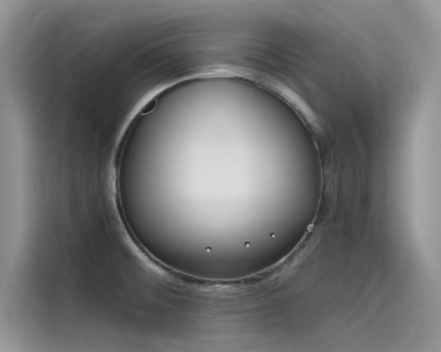 X0000115521476200911131435