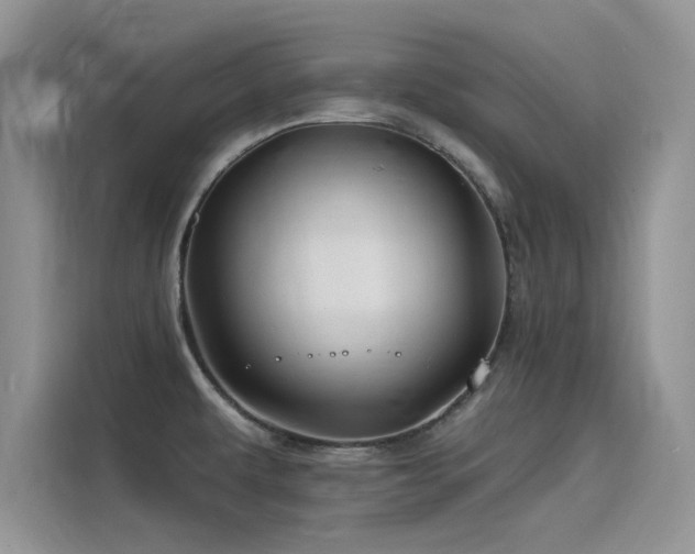 X0000115521479200911131435