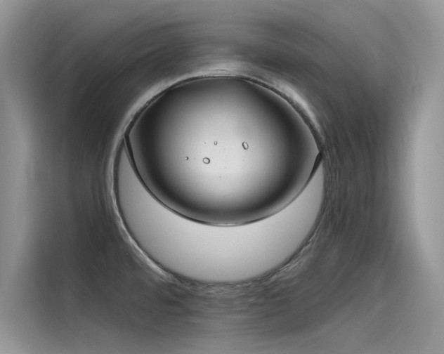 X0000115521480200911131435