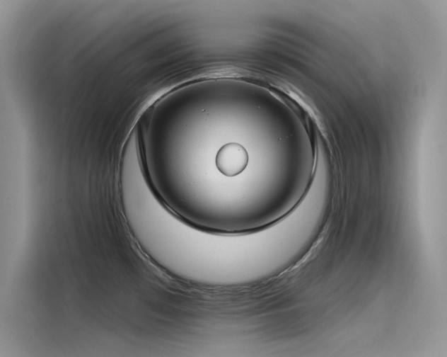 X0000115521481200911131435