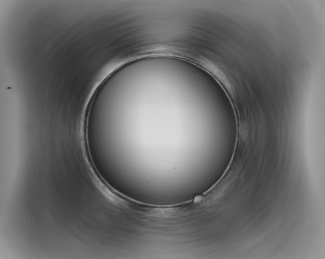 X0000115521482200911131435