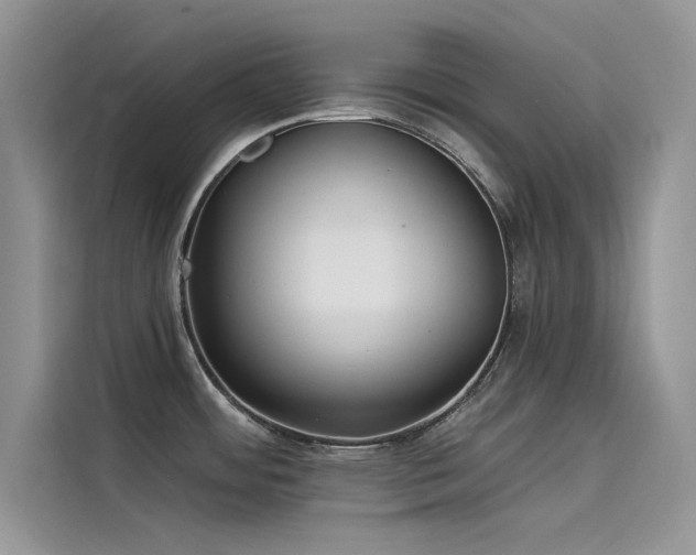 X0000115521484200911131435