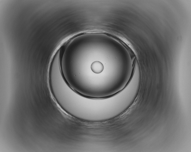 X0000115521485200911131435