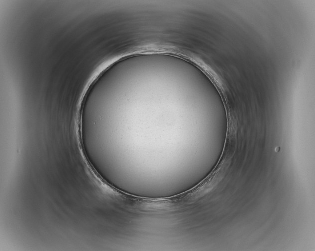 X0000115521486200911131435