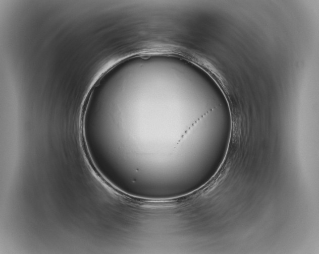 X0000115521487200911131435