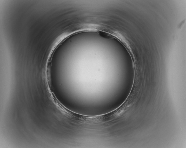 X0000115521488200911131435