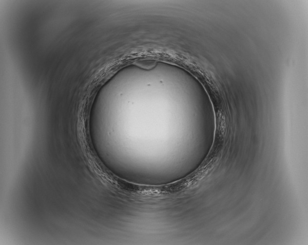 X0000115521489200911131434