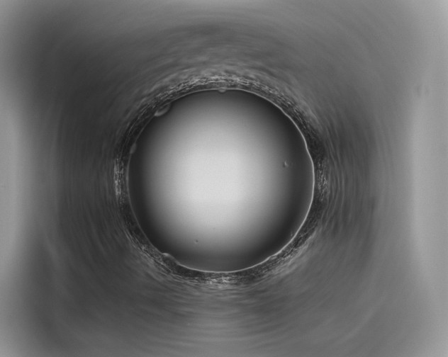X0000115521490200911131434