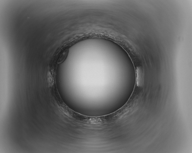 X0000115521491200911131434