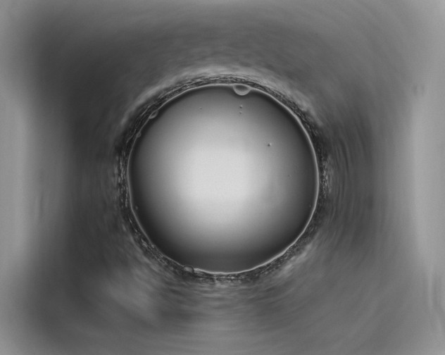 X0000115521494200911131435