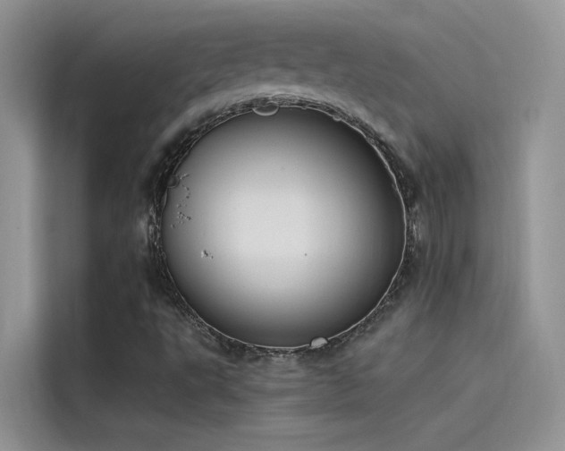 X0000115521495200911131435