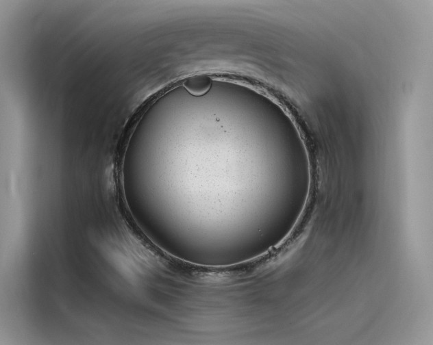 X0000115521497200911131435