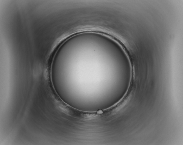 X0000115521501200911131435