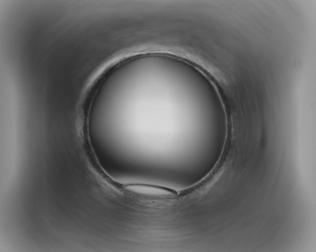 X0000115521502200911131435