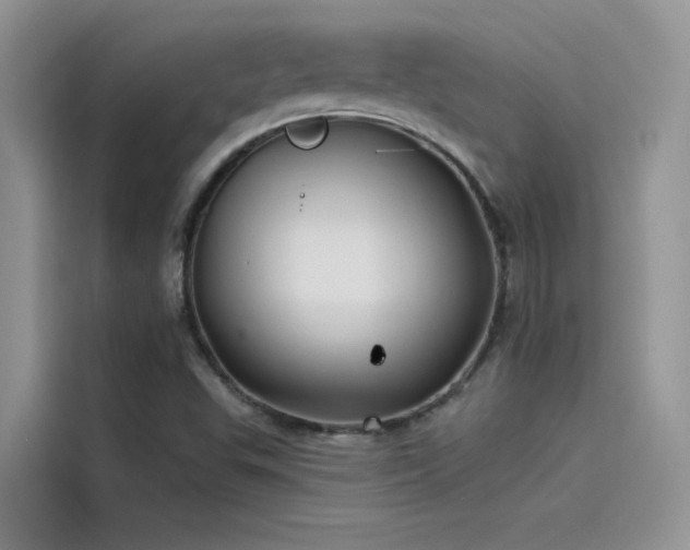 X0000115521503200911131435