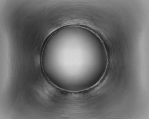 X0000115521505200911131435