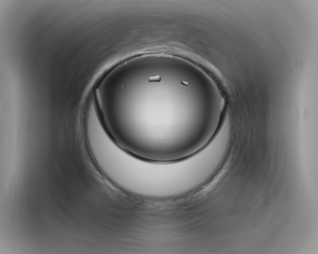X0000115521506200911131435