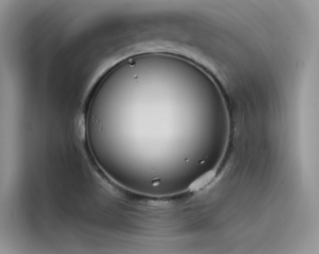 X0000115521509200911131435