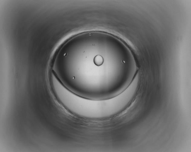 X0000115521510200911131435