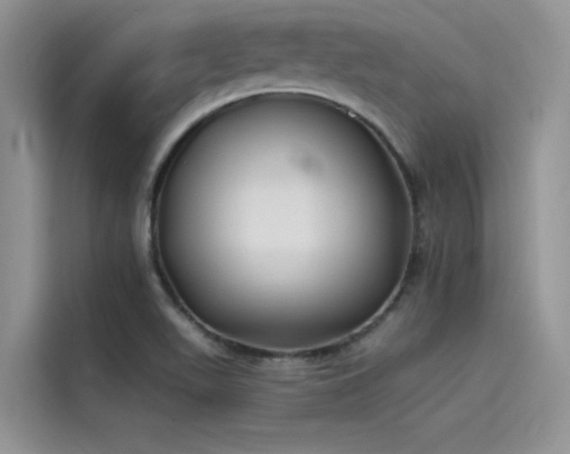 X0000115521511200911131435
