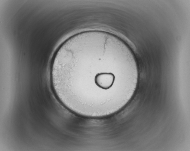 X0000115521514200911131435