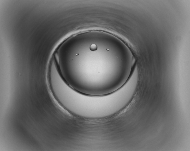X0000115521518200911131435