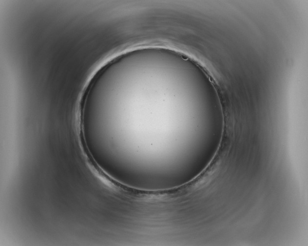 X0000115521519200911131435
