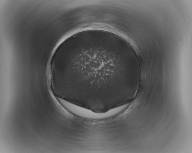 X0000115521522200911131435
