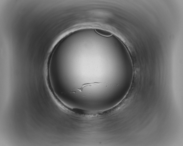 X0000115521523200911131435