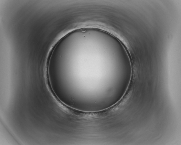 X0000115521525200911131435