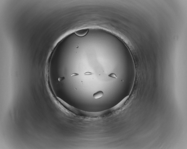 X0000115521526200911131435