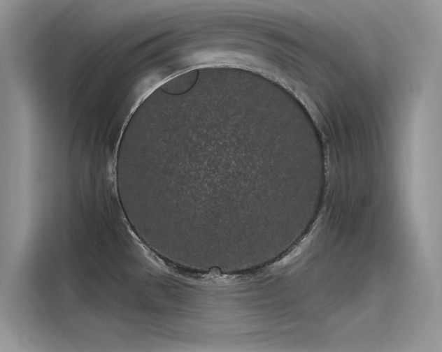X0000115521529200911131435