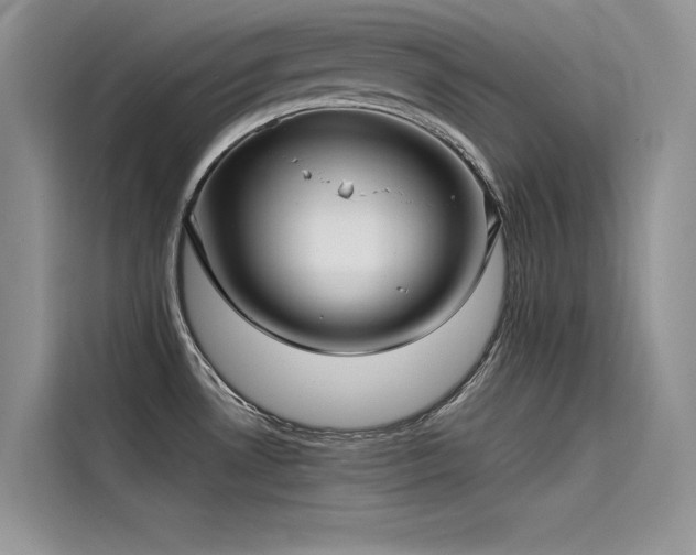 X0000115521530200911131435