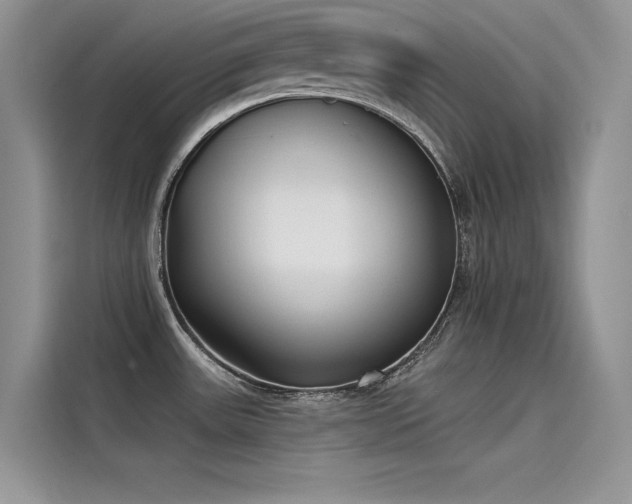X0000115521531200911131435