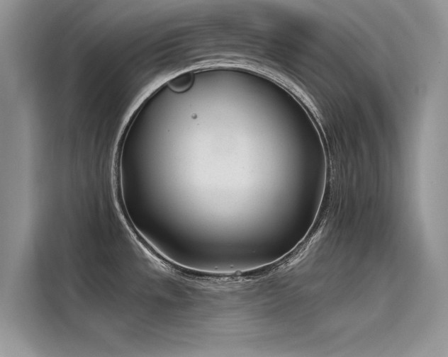 X0000115521533200911131435