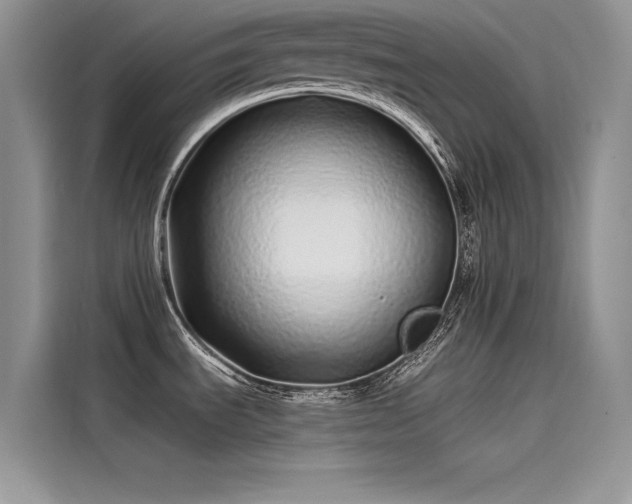 X0000115521535200911131435