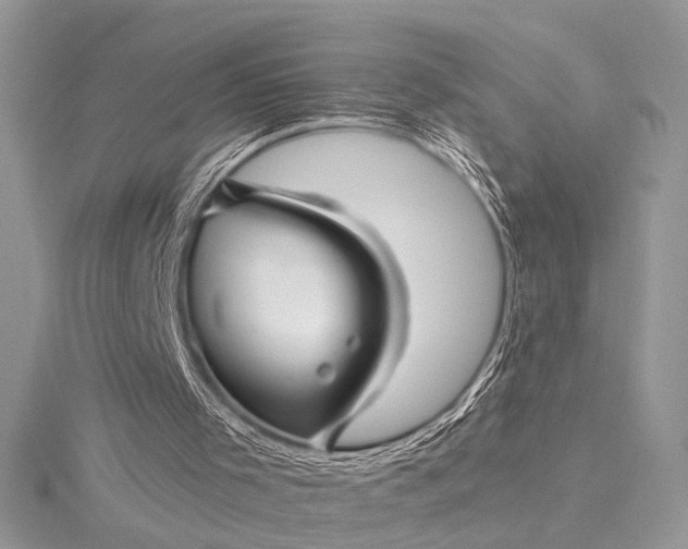 X0000115520001200911201708