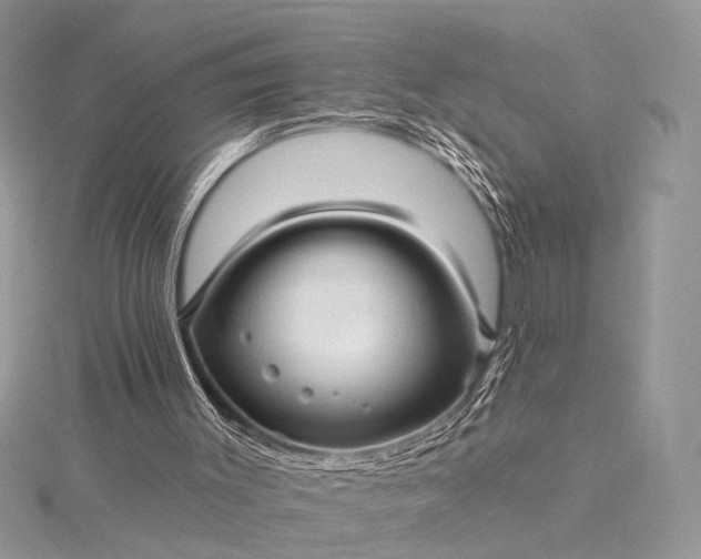 X0000115520003200911201708