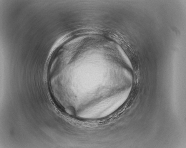 X0000115520004200911201708