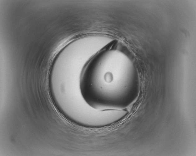 X0000115520005200911201708