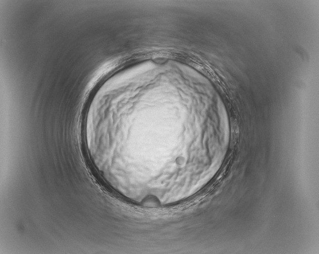 X0000115520006200911201708